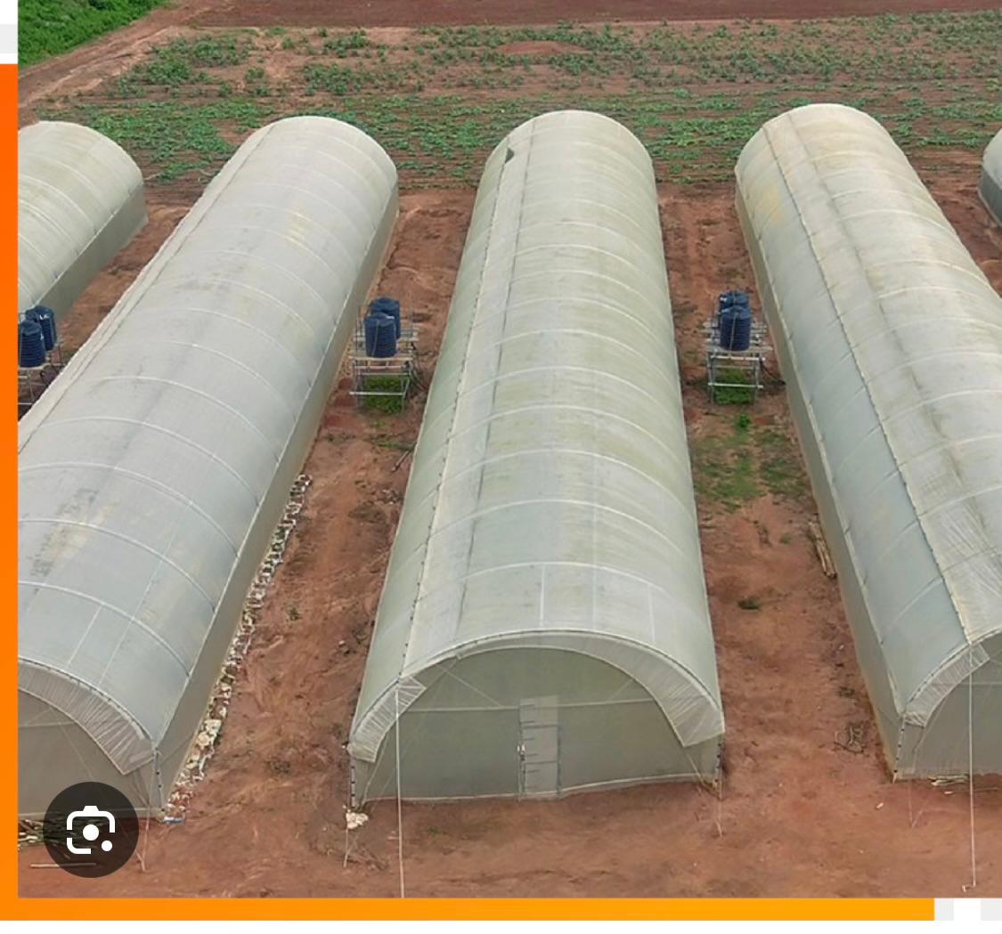 WhatsApp Image 2025-07-24 at 2.18.24 PM